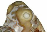 Polished Crazy Lace Agate - Mexico #180551-2
